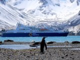 Ocean Diamond Antarctica Cruise