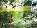 Swimming Hole in the rainforest