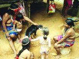 Interacting with the Embera Indians, Panama