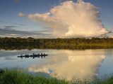 Ecuadorian Amazonia Luxury Expedition