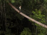 The Canopy Walk, Inkaterra Reserva Amazonica