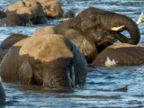 Chobe Game Lodge - Water Safari on the Zambezi river