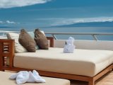 Sea Star Journey- Sun Deck