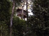 The Canopy Tree House at Inkaterra Reserva Amazonica