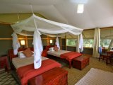 Luxury Tenet at Ishasha Wilderness Camp QENP Uganda