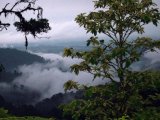 Cloud Forest Excursion in Mashpi, Ecuador