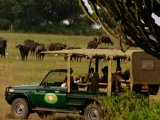 Mweya Safari Lodge - Game Drive