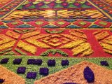 Carpet of flowers in Antigua