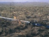 Aerial Picture of the Blue Train